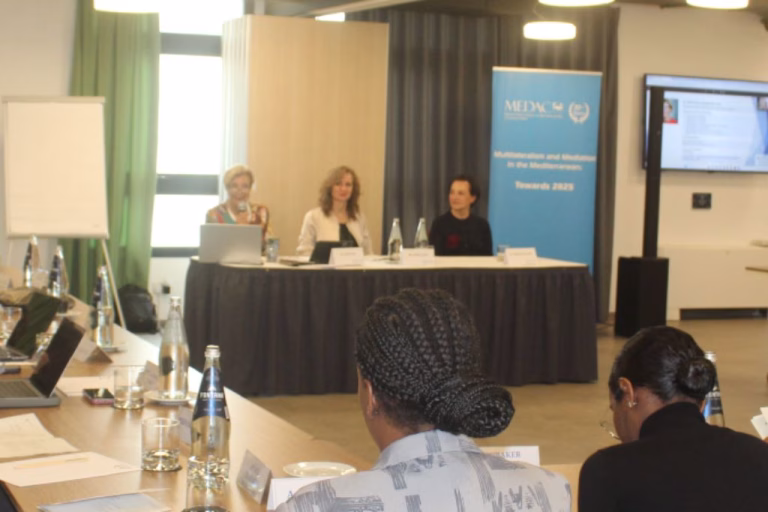 Seminar on Climate Negotiations